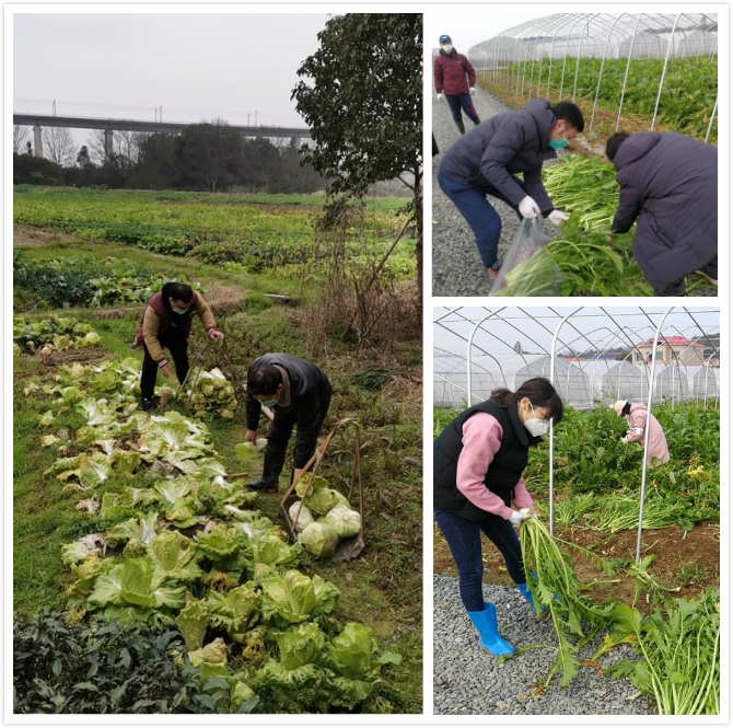 20200218204355_10840 20200218204355_10840